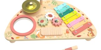2Kids Toys Multifunkční hudební deska