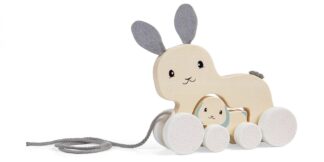 Bigjigs Toys Tahací zajíček s mládětem