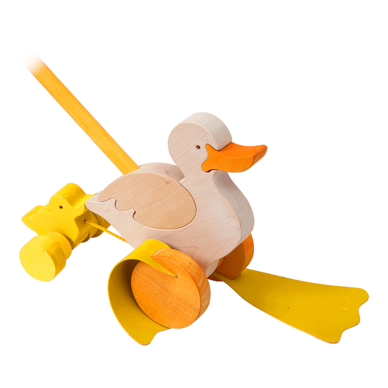 Fauna Jezdík Kačena s káčátkem